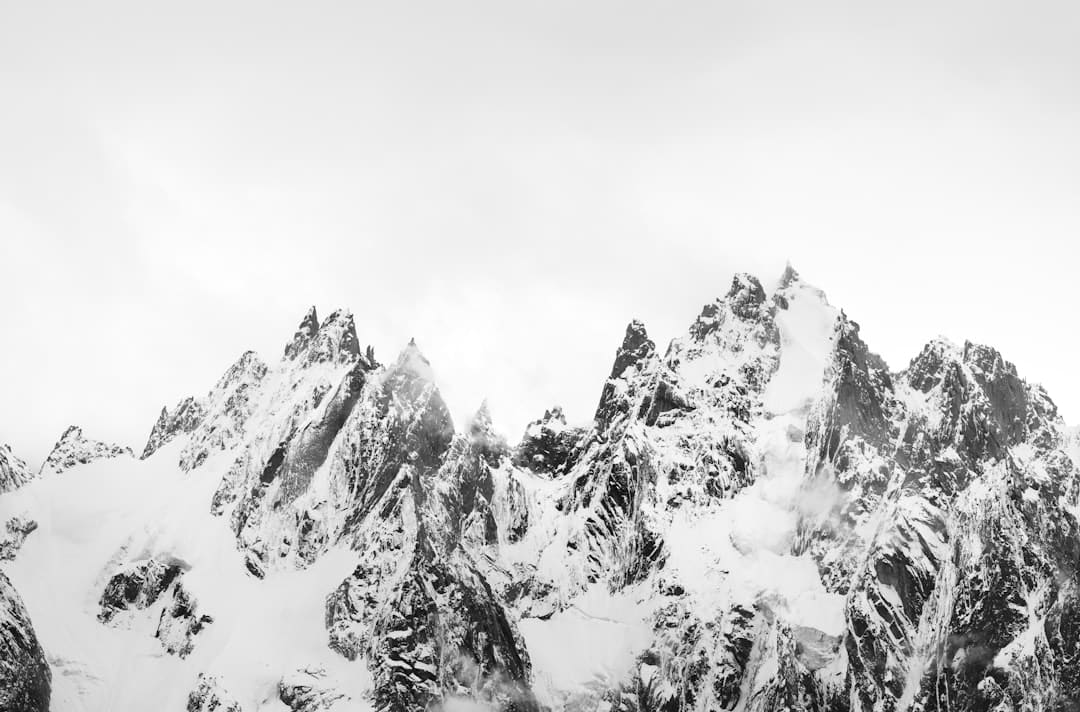 https://p5.img.cctvpic.com/photoworkspace/contentimg/2025/05/02/2025050223555355862.jpg